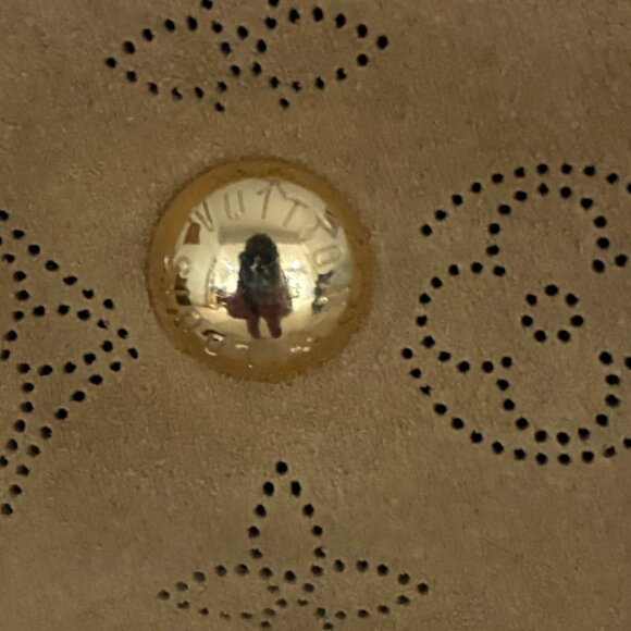 ADDITIONAL PHOTOS ONLY*******Louis Vuitton CarryAll PM in Mahina - Picture 11 of 12